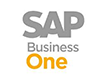 Sap v2